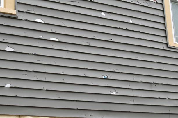 Siding for Commercial Buildings in Gilroy, CA